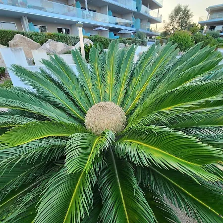 Vue Panoramique Avec Piscine A Solenzara Apartment *