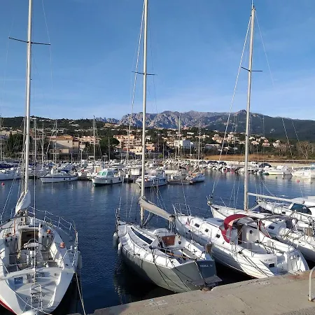 Vue Panoramique Avec Piscine A Solenzara Kamiesch